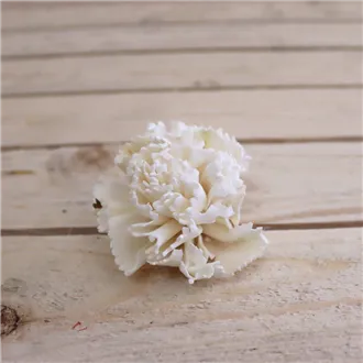 Carnation flower 371255