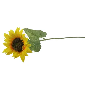 Sunflower X5838