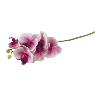 Artificial orchid X4920-11