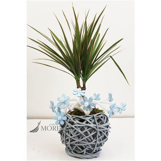 Flower pot with plastic, blue P0010-13