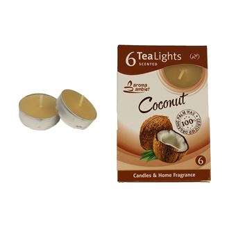 Tealight COCONUT 6 Pcs. MSC-TL1002