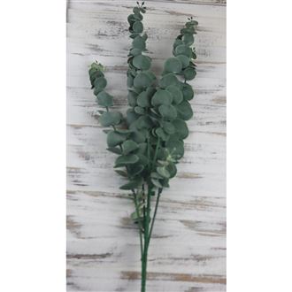 eucalyptus 78 cm, dark green