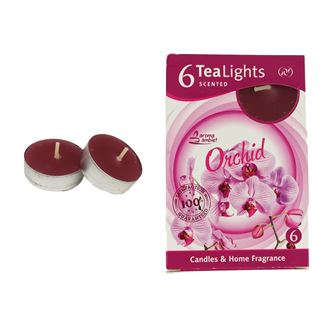 Tealight ORCHID 6 Pcs. MSC-TL1017