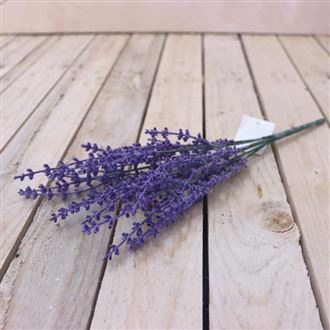 Lavender bouquet 371174