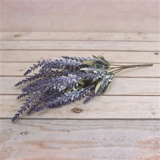 Bouquet of lavender 371191