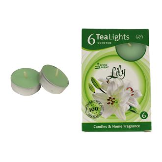 Tealight LILY 6 Pcs. MSC-TL1014