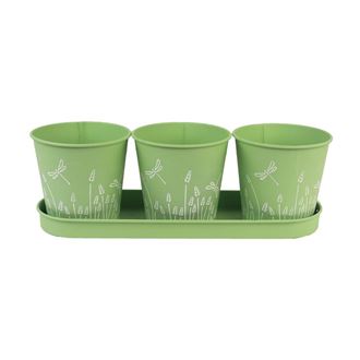 Set of 3 flower pots with a tray K2585-15