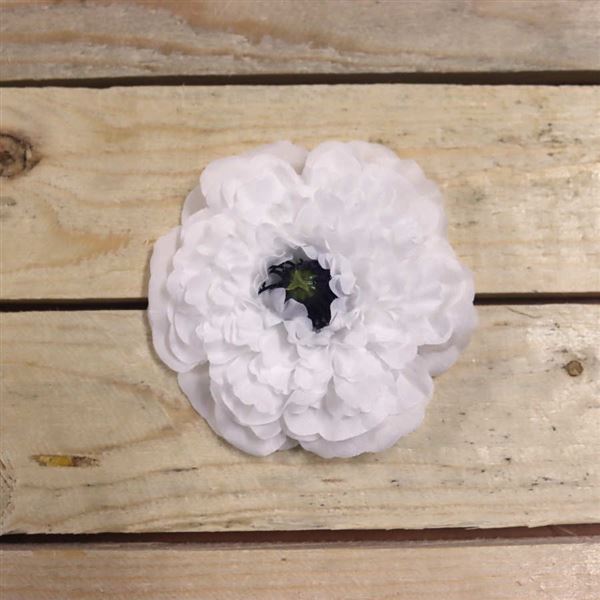 White zinnia flower, 12 pcs 371195-01