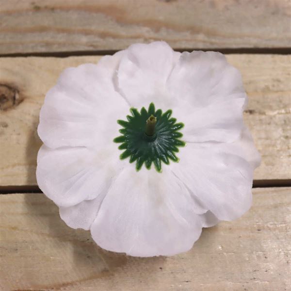 White zinnia flower, 12 pcs 371195-01