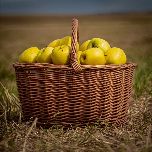 Wicker basket, 054020