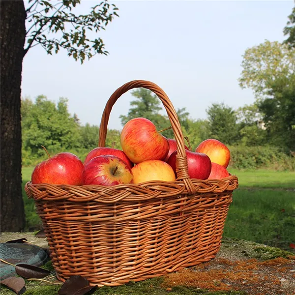 basket oval with braid 054100