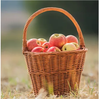 Round basket, 067036/25