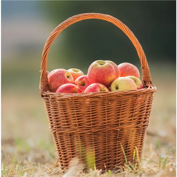 Round basket, 067036/35