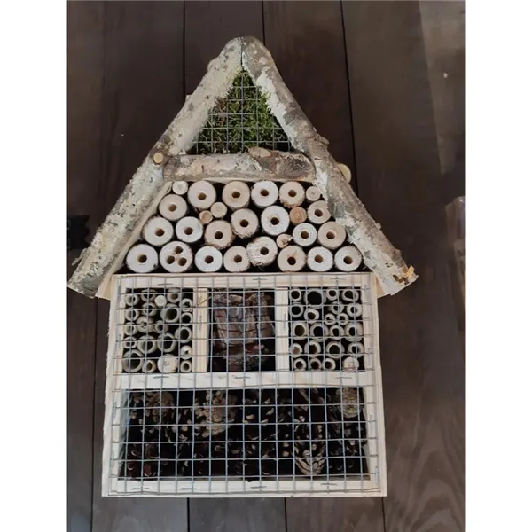 Insect house 097115 