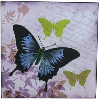 Picture 38x38 - Butterfly, 355117
