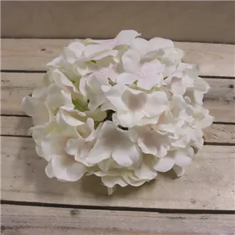 Cream hydrangea flower, 6 pcs 371194-26