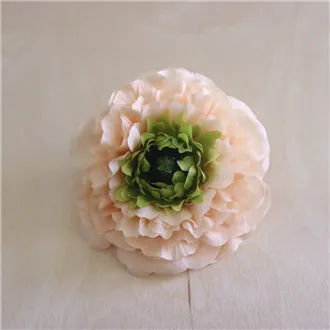 Zinnia flower apricot, 12 pcs 371195-33