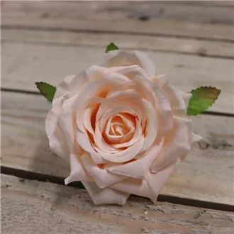 Rose flower apricot, 12 pcs 371211-26