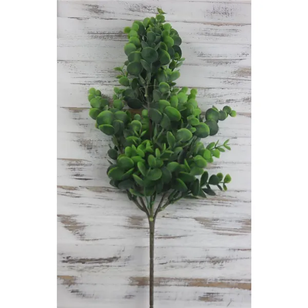 The branch of eucalyptus, 61 cm, green