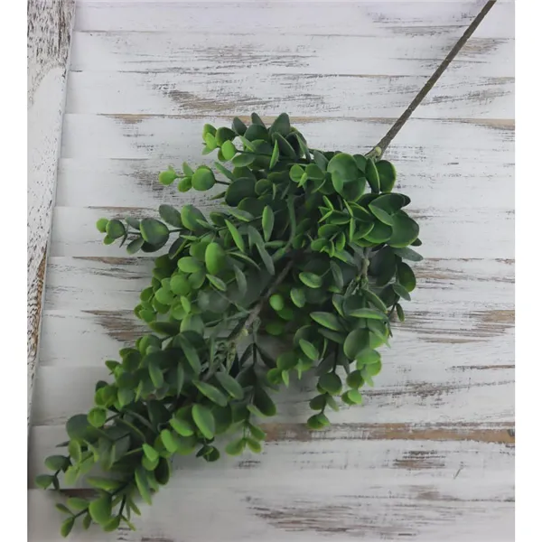 The branch of eucalyptus, 61 cm, green