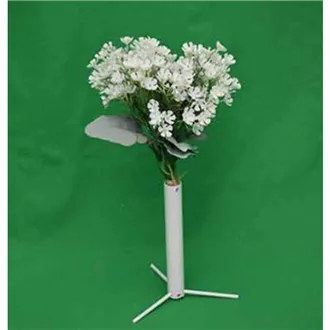 Kalanchoe bundle 371316