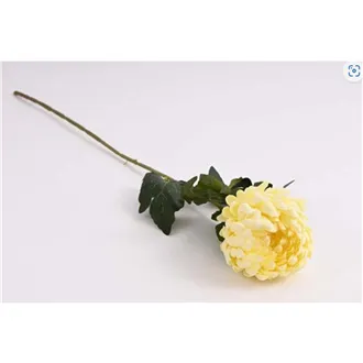 Chrysanthemum 74 cm, cream 371356