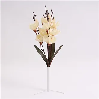 Bouquet of gladioli 371431-26