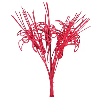 Flower rattan core 10 pcs.-40 cm, red, 381570-08