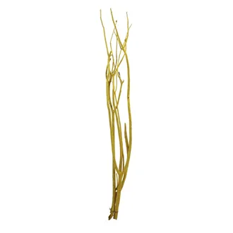 Branches Mitsumata 3 pcs 80 cm, yellow 381986-02
