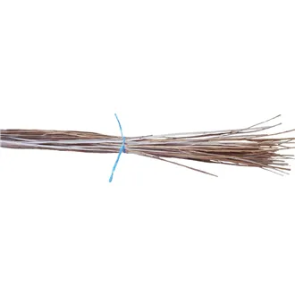 Clefted willow 51S0100