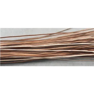 Clefted willow 51S0200