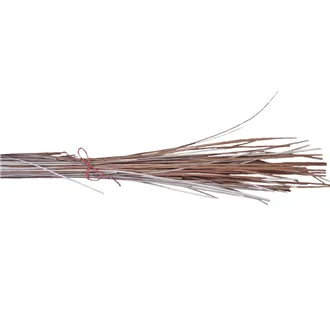 Clefted willow 51S0200