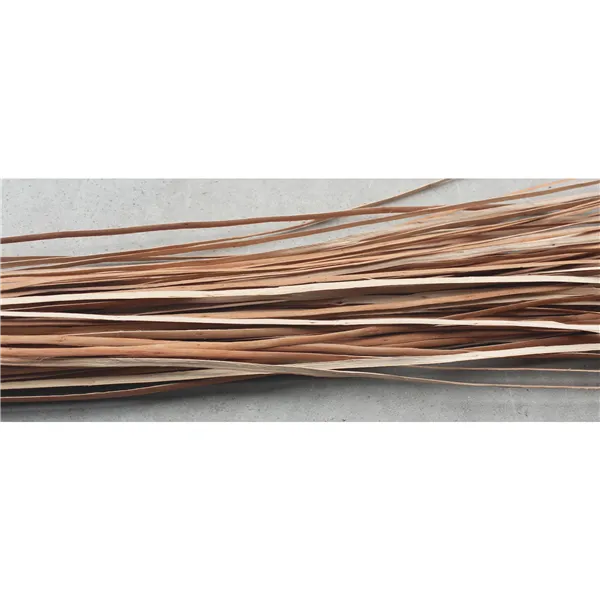 Clefted willow 51S0200