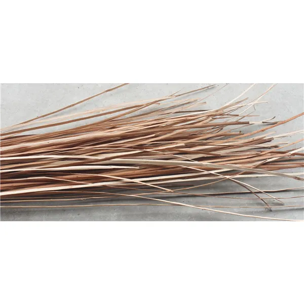 Clefted willow 51S0200