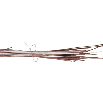 Clefted willow