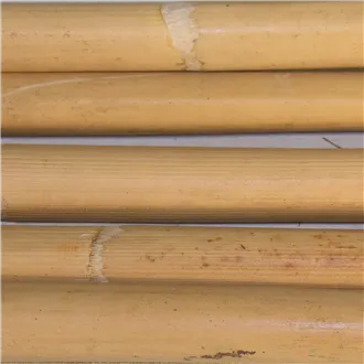 Unpeeled Rattan Poles 30-32mm 5230000