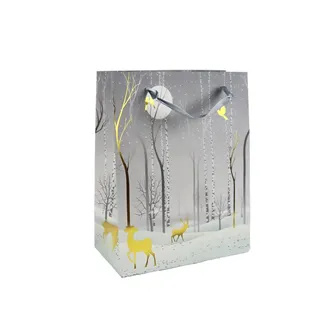 Gift bag A0122/1 