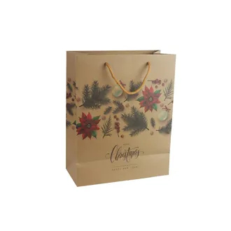 Paper gift bag A0257/2