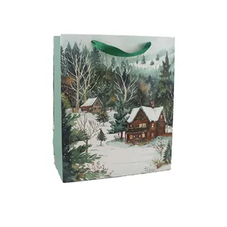 Christmas gift bag A0354/2