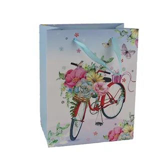 Paper gift bag A0374/3