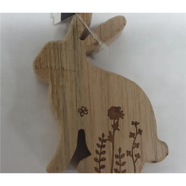 Easter bunny 2nd grade D7057B