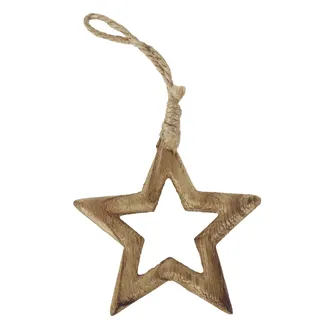 Hanging Star D8117