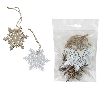 Hanging Snowflake 10 pcs D8363