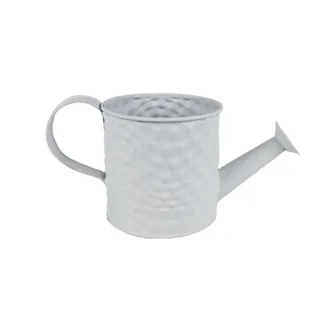 Metal jug K3001-01