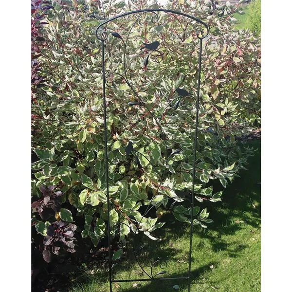 Metal Climbing Plant Flowers Frame Structure K3366