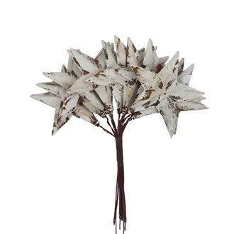 Star Garden Stake K4857