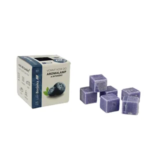 Scented wax forest blueberry MRE-8507