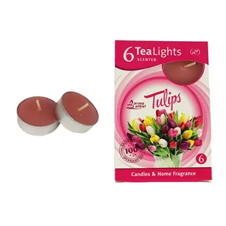 Tealight TULIPS 6 Pcs. MSC-TL1013