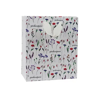 Paper gift bag Surprise 18x10x23 cm