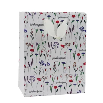 Paper gift bag Surprise 26x12x32 cm